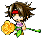 xerochrysum